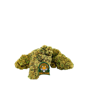 Amnesia small buds indoor pas cher