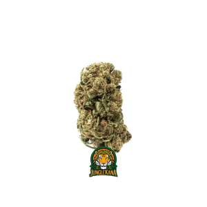 CRITICAL X AMNESIA 2.0 SMALL BUD