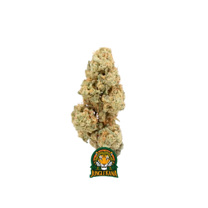 tangie-pas-cher