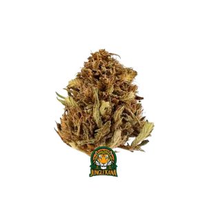 Purple Haze Fleur de CBD Outdoor
