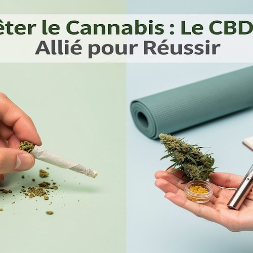 Comment Arrêter le Cannabis ? Guide Complet pour une Démarche Réussie et Durable