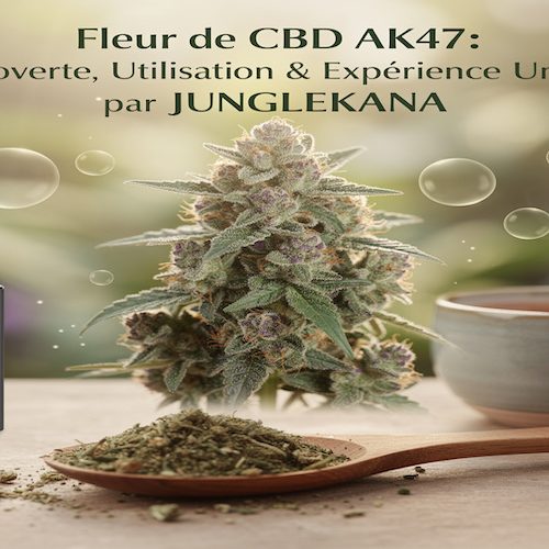 Fleur de CBD AK47 : Découverte, Utilisation et Expérience Unique par JUNGLEKANA