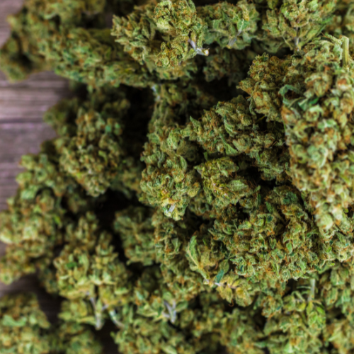 Les fleurs de CBD : Découvrez les variétés les plus vendues en 2025